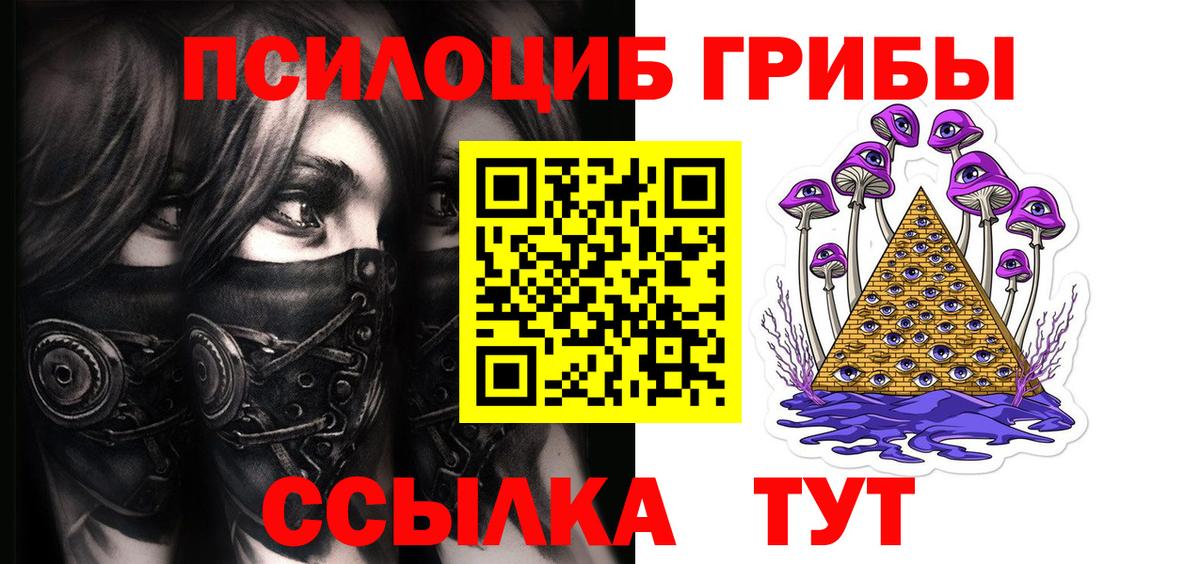 Псилоцибиновые грибы прущие грибы Саров