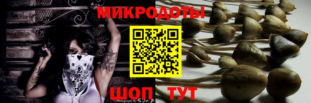 Саров  Галлюциногенные грибы GOLDEN TEACHER  что такое   Вход с VPN 